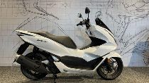 Motorrad kaufen Neufahrzeug HONDA PCX WW 125 A (roller)