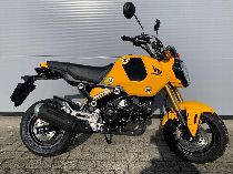 Motorrad kaufen Neufahrzeug HONDA MSX 125 (naked)
