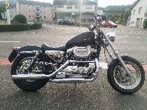 Motorrad kaufen Occasion HARLEY-DAVIDSON XL 1200 C Sportster Custom (custom)