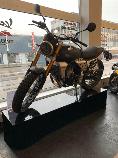 Motorrad kaufen Vorführmodell FANTIC MOTOR Caballero 500 Scrambler (retro)