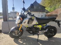 Motorrad kaufen Neufahrzeug HONDA MSX 125 (naked)