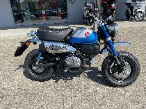 Motorrad kaufen Neufahrzeug HONDA Z 125 MA Monkey (naked)