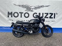 Motorrad kaufen Occasion MOTO GUZZI V7 III Stone (retro)