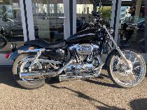 Motorrad kaufen Occasion HARLEY-DAVIDSON XL 1200 C Sportster Custom (custom)