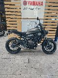 Motorrad kaufen Neufahrzeug YAMAHA XSR 700 (retro)