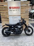 Motorrad kaufen Occasion YAMAHA SCR 950 (retro)
