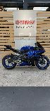 Motorrad kaufen Neufahrzeug YAMAHA R6 (sport)