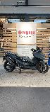 Motorrad kaufen Neufahrzeug YAMAHA XP 560 TMax D (roller)