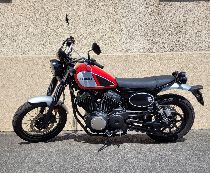 Motorrad kaufen Occasion YAMAHA SCR 950 (retro)