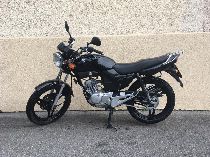 Motorrad kaufen Occasion YAMAHA YBR 125 Custom (custom)