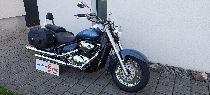Motorrad kaufen Occasion SUZUKI VL 800 Intruder (custom)