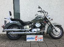 Motorrad kaufen Occasion YAMAHA XVS 1100 A (custom)
