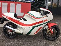 Motorrad kaufen Occasion BIMOTA DB1 (sport)