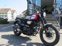 Motorrad kaufen Vorführmodell YAMAHA SCR 950 (custom)