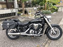 Motorrad kaufen Occasion YAMAHA XVS 1300 A Midnight Star (custom)