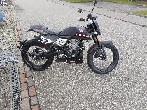 Motorrad kaufen Neufahrzeug MONDIAL Flat Track 125 (retro)