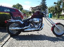 Motorrad kaufen Occasion HARLEY-DAVIDSON FXST 1450 Softail Standard (custom)