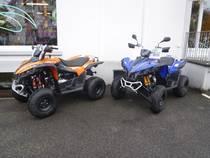 Motorrad Mieten & Roller Mieten TGB Target 325 (Quad-atv-ssv)