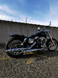 Motorrad kaufen Occasion HARLEY-DAVIDSON FXDB 1584 Dyna Street Bob (custom)