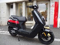 Motorrad kaufen Vorführmodell NIU NGT (roller)
