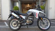 Motorrad kaufen Neufahrzeug MALAGUTI Dune 125 (enduro)