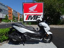 Motorrad kaufen Neufahrzeug HONDA NSS 125 AD Forza ABS (roller)