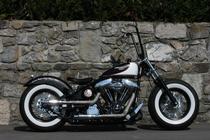 Motorrad kaufen Occasion HARLEY-DAVIDSON FXSTC 1340 Softail Custom (custom)