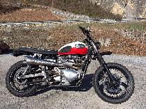 Motorrad kaufen Occasion TRIUMPH Scrambler 900 (retro)