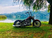 Motorrad kaufen Occasion HARLEY-DAVIDSON FLSTF 1340 Softail Fat Boy (custom)