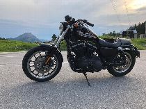 Motorrad kaufen Occasion HARLEY-DAVIDSON XL 883 RXL Sportster Roadster (custom)