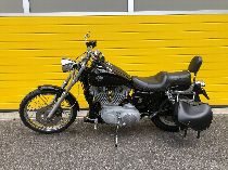 Motorrad kaufen Occasion HARLEY-DAVIDSON XL 883 53C Sportster (custom)