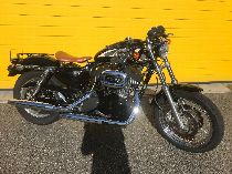 Motorrad kaufen Occasion HARLEY-DAVIDSON XL 1200 R Sportster Roadster (custom)