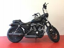 Motorrad kaufen Occasion HARLEY-DAVIDSON XL 883 N Iron (custom)