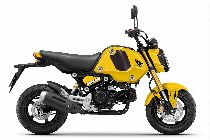 Motorrad kaufen Neufahrzeug HONDA MSX 125 (naked)