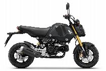 Motorrad kaufen Neufahrzeug HONDA MSX 125 (naked)