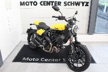 Motorrad kaufen Occasion DUCATI 803 Scrambler (retro)