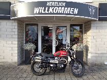 Motorrad kaufen Occasion TRIUMPH Street Scrambler 900 (retro)