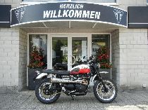 Motorrad kaufen Occasion TRIUMPH Scrambler 900 (retro)