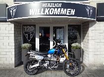 Motorrad kaufen Occasion TRIUMPH Scrambler 1200 XE (retro)