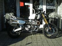 Motorrad kaufen Occasion TRIUMPH Scrambler 1200 XE (retro)