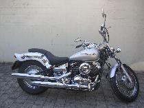 Motorrad kaufen Occasion YAMAHA XVS 650 Drag Star (custom)