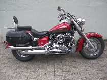 Motorrad kaufen Occasion YAMAHA XVS 650 A Drag Star (custom)
