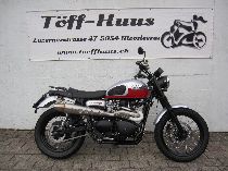 Motorrad kaufen Occasion TRIUMPH Scrambler 900 (retro)