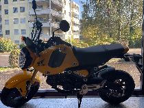 Motorrad kaufen Neufahrzeug HONDA MSX 125 (naked)