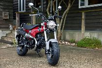 Motorrad kaufen Neufahrzeug HONDA ST 125 Dax (naked)