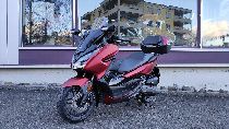 Motorrad kaufen Neufahrzeug HONDA NSS 125 AD Forza ABS (roller)
