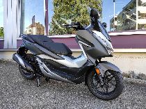Motorrad kaufen Neufahrzeug HONDA NSS 300 A Forza (roller)