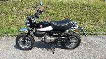Motorrad kaufen Vorführmodell HONDA Z 125 MA Monkey (naked)