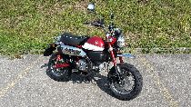 Motorrad kaufen Neufahrzeug HONDA Z 125 MA Monkey (naked)