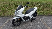 Motorrad kaufen Neufahrzeug HONDA PCX WW 125 EX2 (roller)